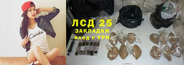 прущие грибы Белокуриха
