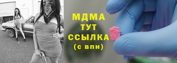 прущие грибы Белокуриха