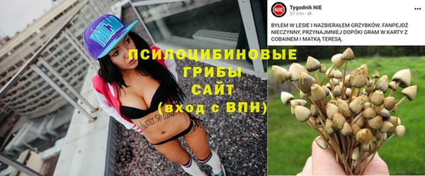 2c-b Белоозёрский