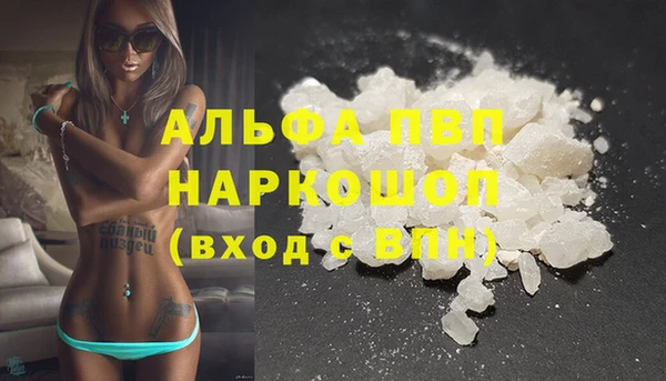прущие грибы Белокуриха