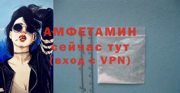 прущие грибы Белокуриха