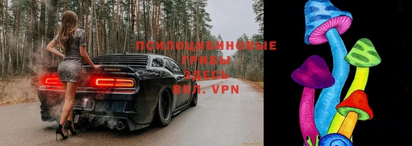 2c-b Белоозёрский