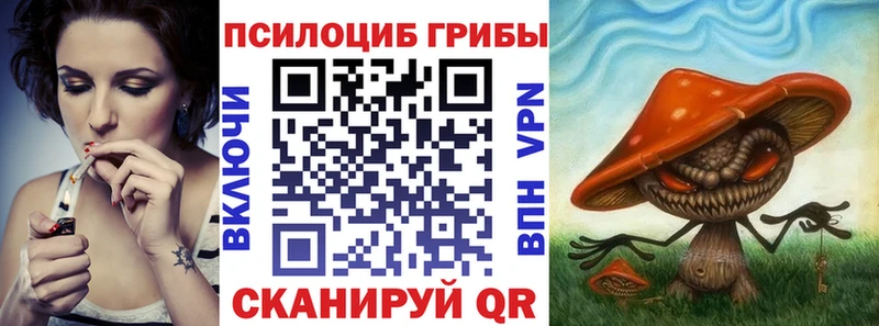 где найти наркотики  Красный Холм  Галлюциногенные грибы MAGIC MUSHROOMS 